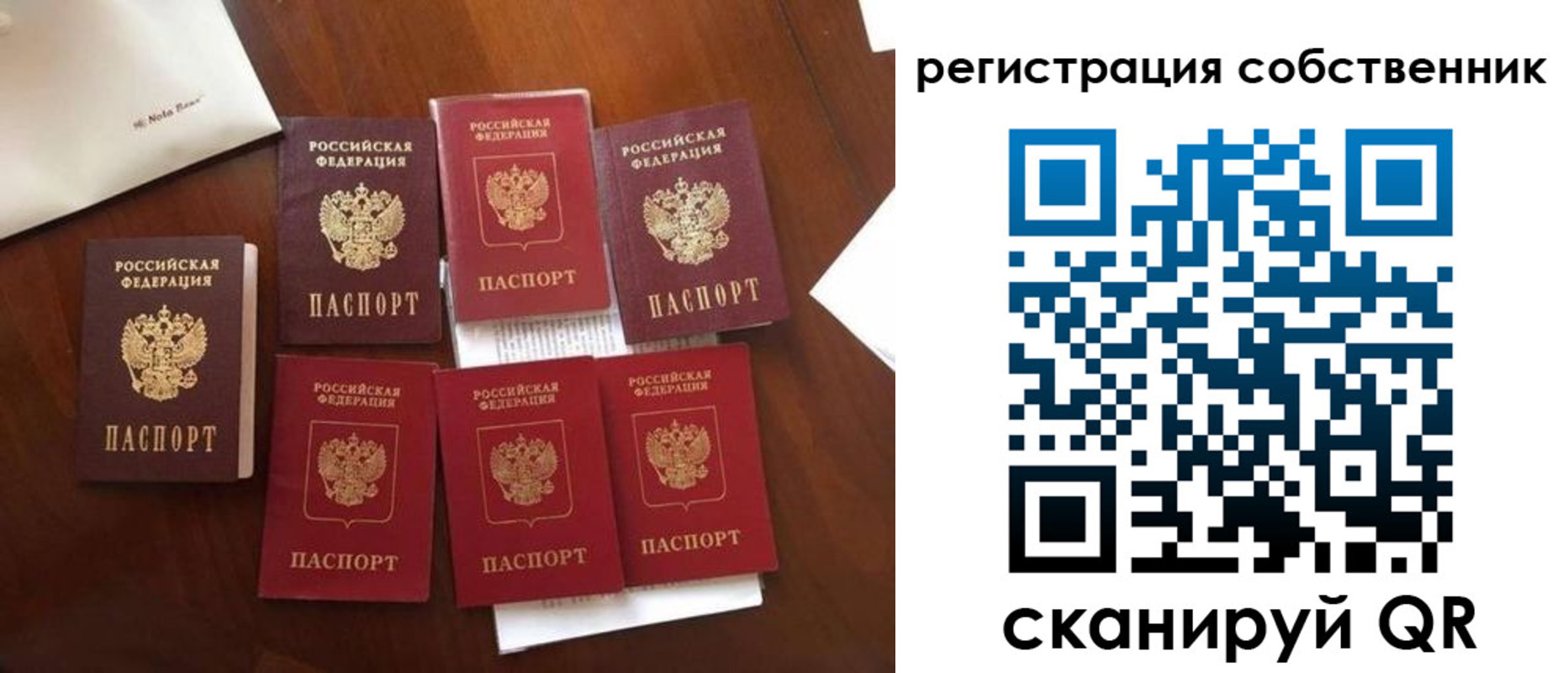 найти адрес прописки в Барыше